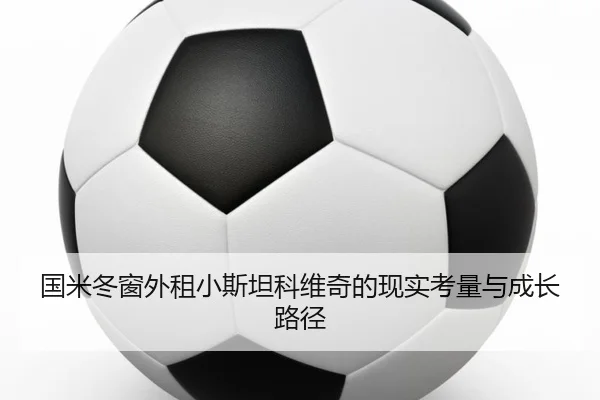 国米冬窗外租小斯坦科维奇的现实考量与成长路径